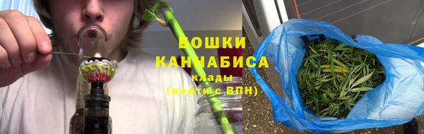 хмурый Арсеньев