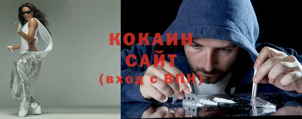 хмурый Арсеньев