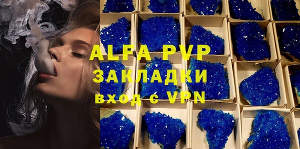 прущие грибы Новодвинск