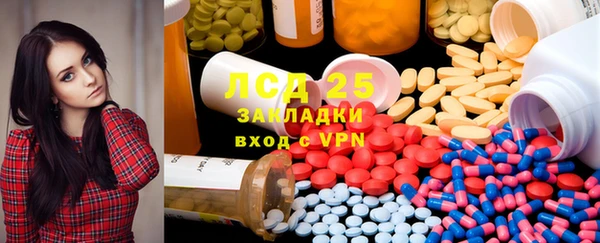 хмурый Арсеньев