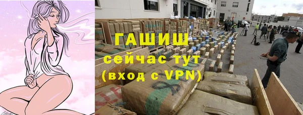хмурый Арсеньев