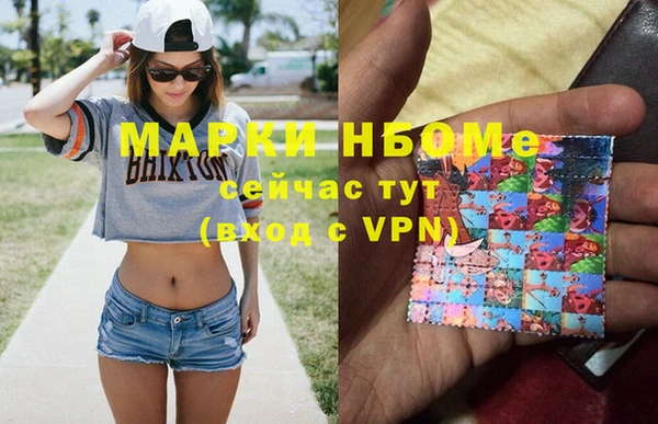 хмурый Арсеньев