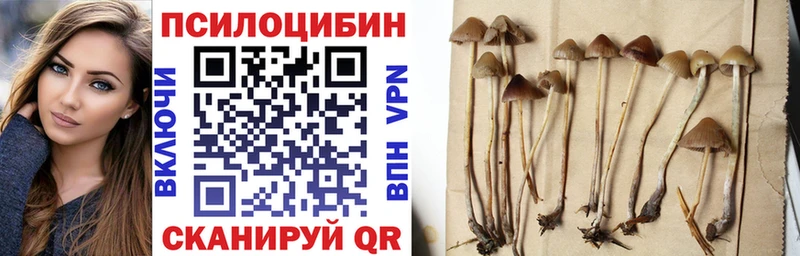 Галлюциногенные грибы мицелий  Моршанск 